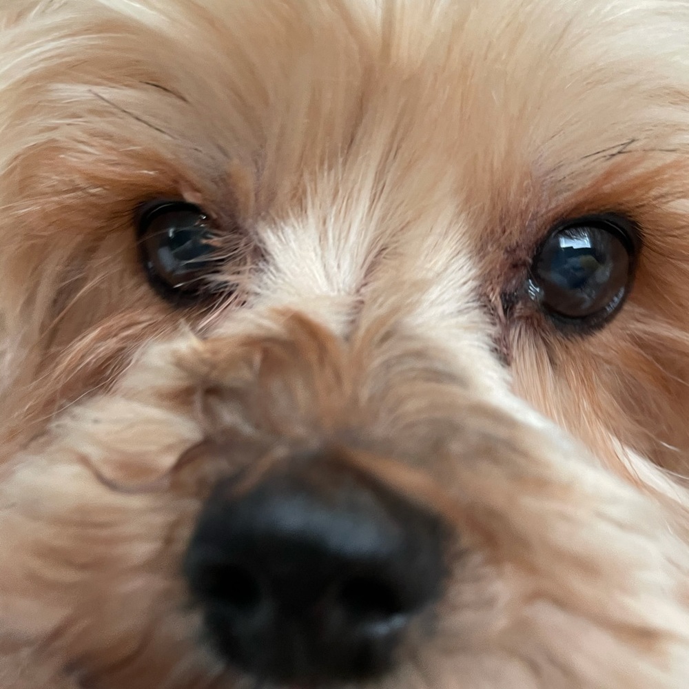 Meet your Posher, Kathleen